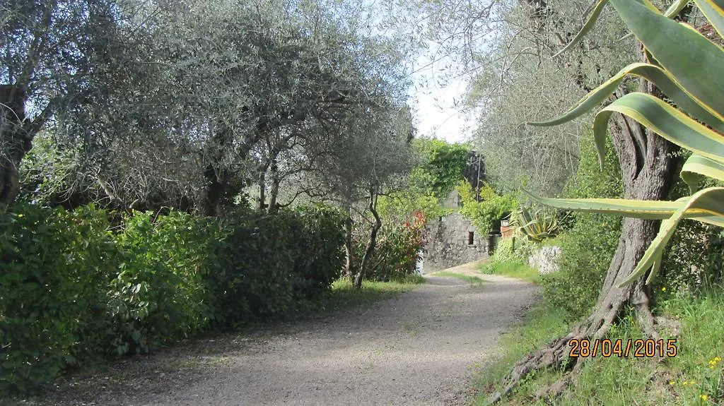 villa des oliviers-1